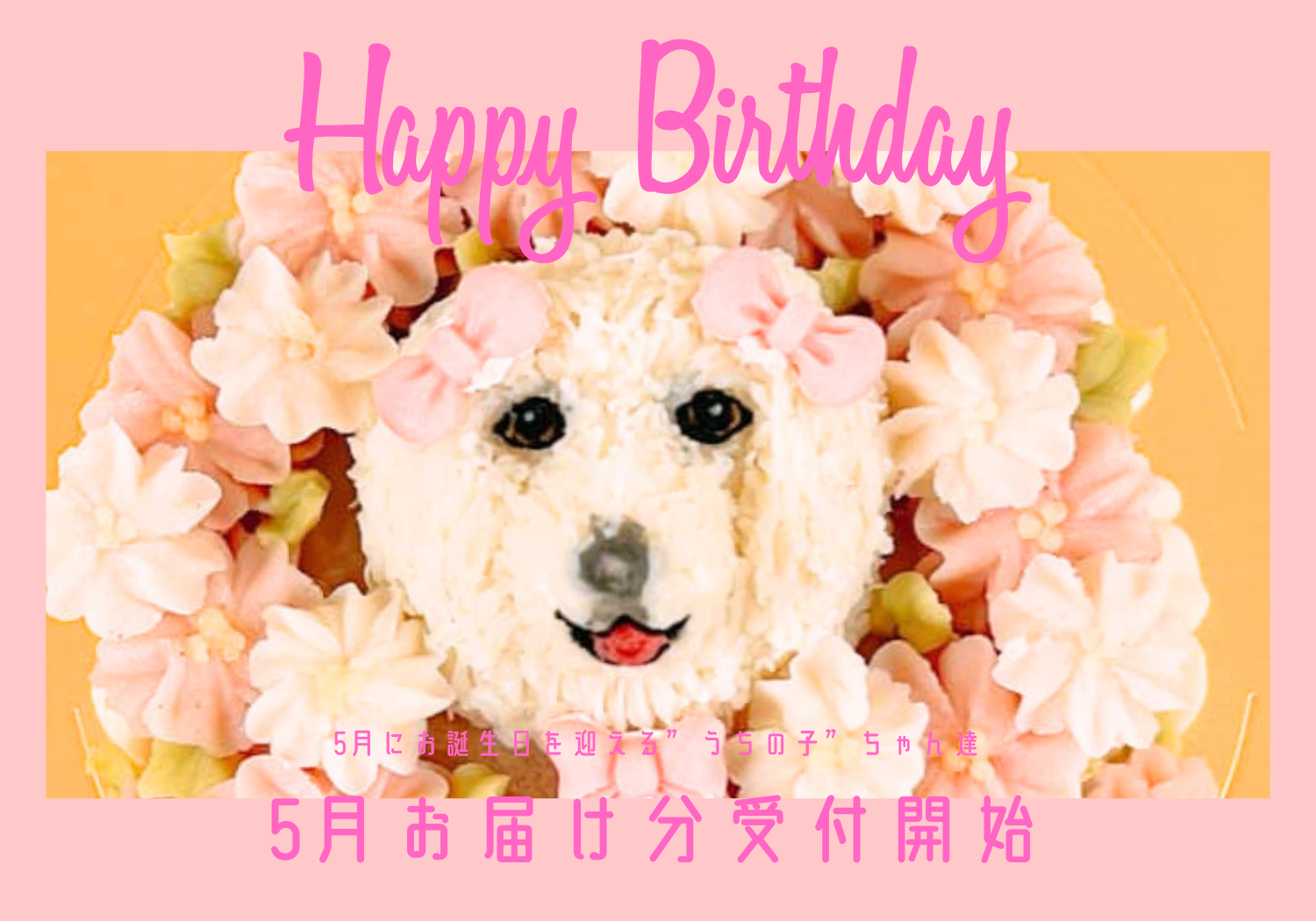 【5月お届け分】すべてのケーキ ご注文受付開始‼