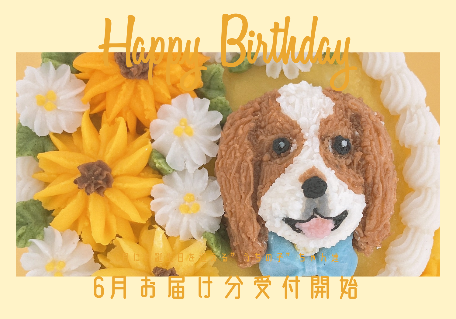 【ご予約はお早めに】6月お届け分の受付開始！愛犬・愛猫のアニバーサリーケーキ