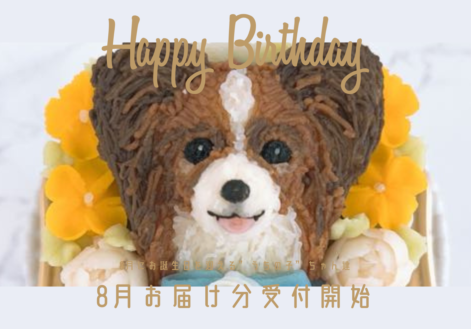 【数量限定でご案内中】8月お届け分の受付開始！愛犬＆愛猫の記念日ケーキ