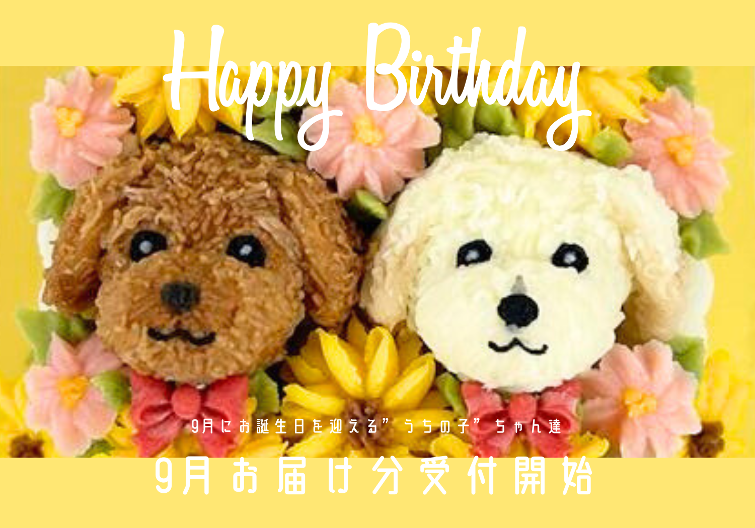 【数量限定でご案内中】9月お届け分の受付開始！愛犬＆愛猫の記念日ケーキ