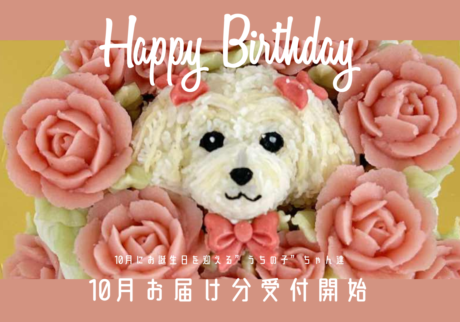 【 ハロウィンバージョンも登場】10月お届け分の受付開始！愛犬＆愛猫の記念日ケーキ