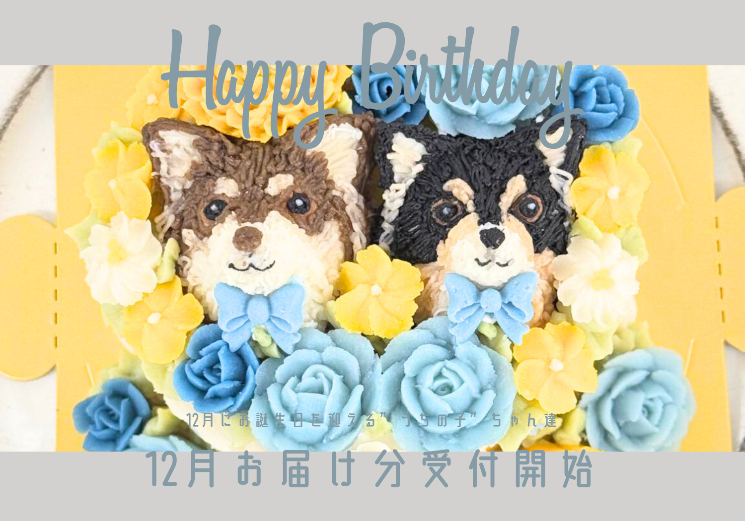 【限定販売】12月お届け アトリエミニヨン・ド・サトコの愛犬＆愛猫ケーキ受付開始！