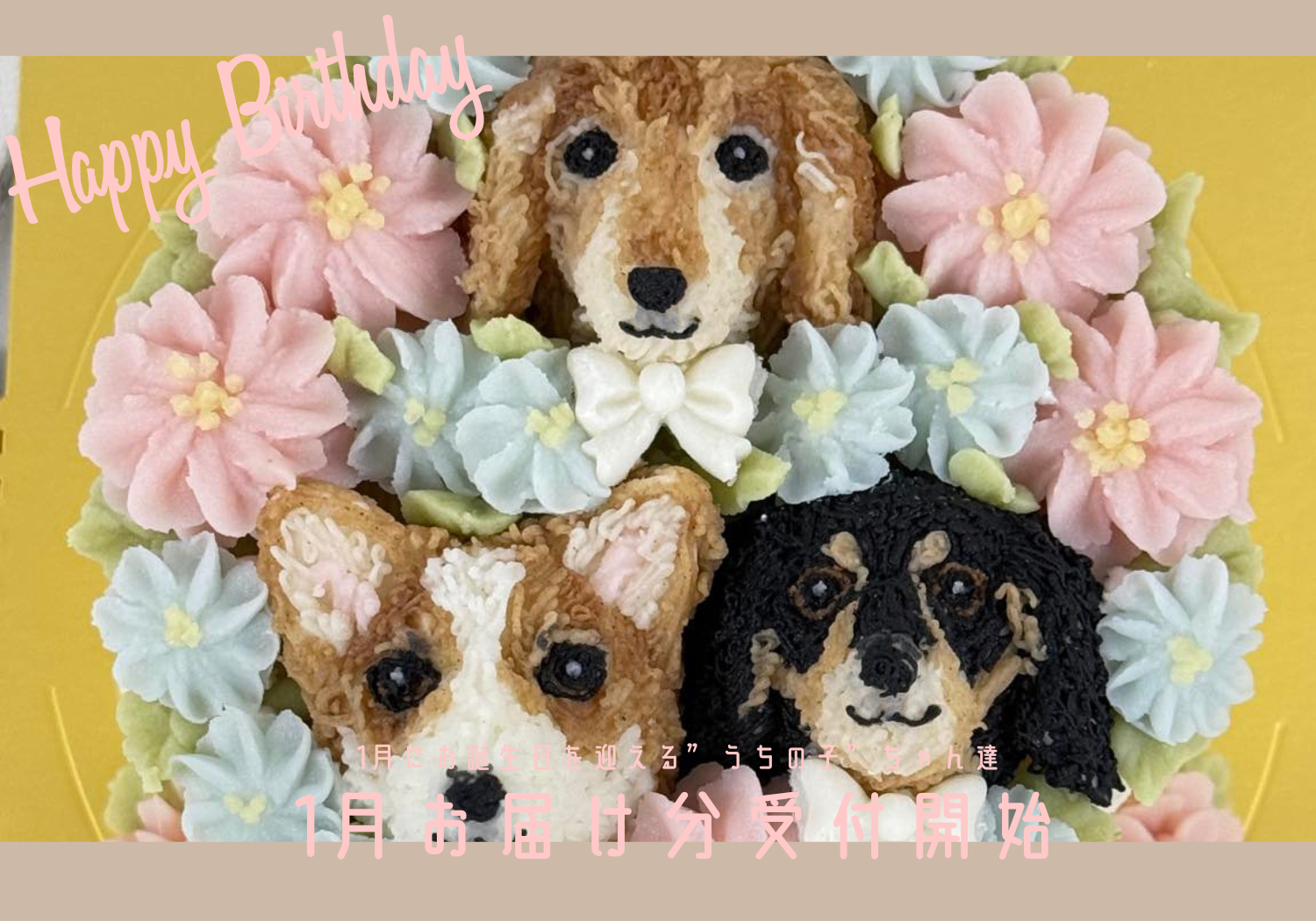 1月のお届け分、まもなく受付スタート！愛犬・愛猫の特別な日に世界でひとつのケーキを