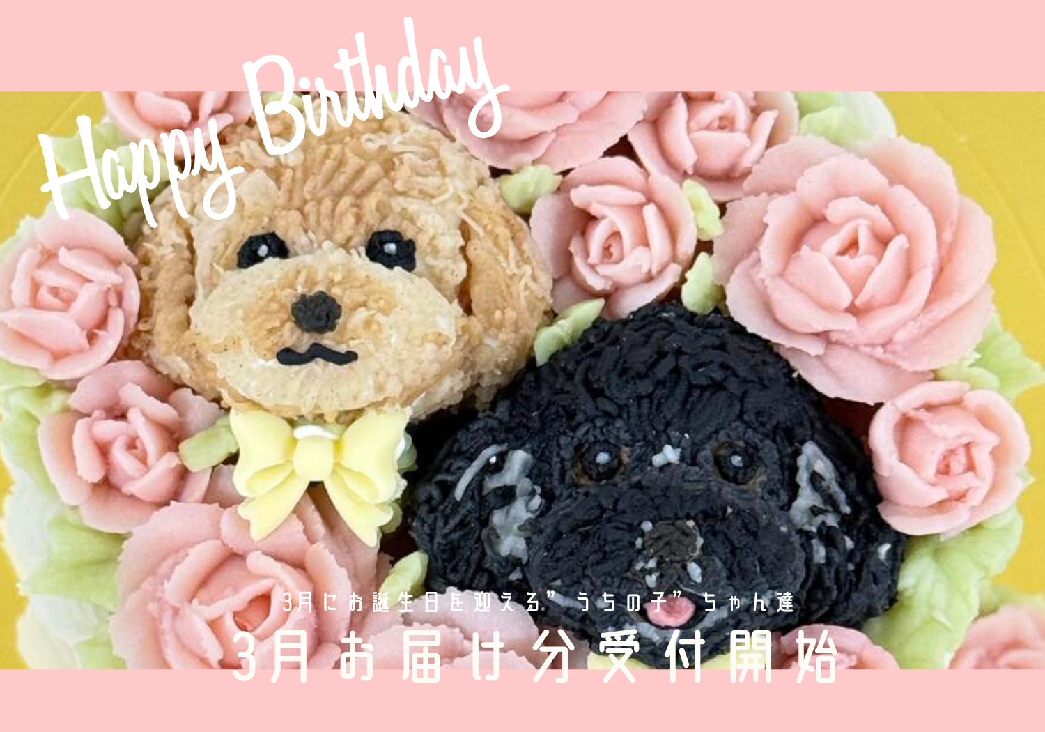 【2/1(日)12時〜】3月お届け分・受付開始｜完売前にご注文を！