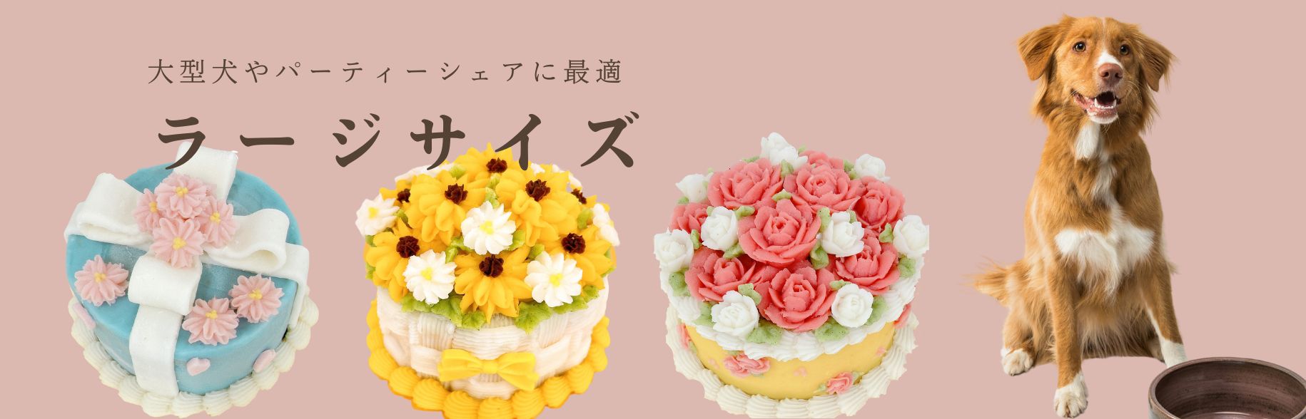 ラージサイズ