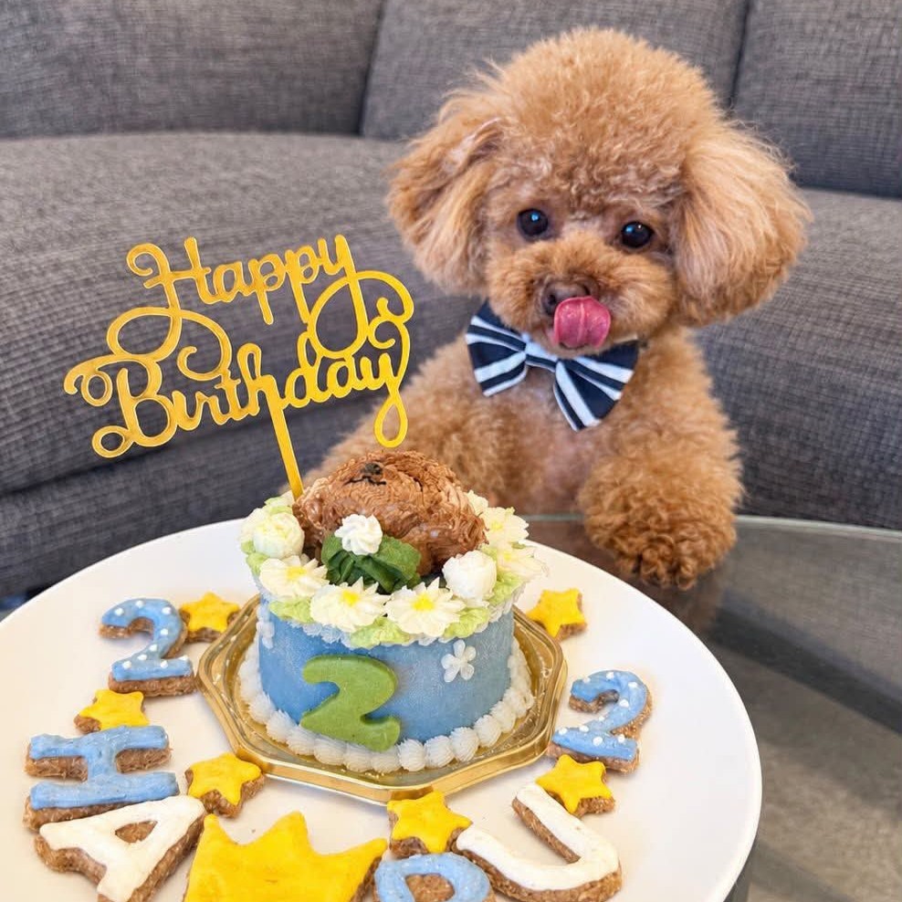 ハルくん、2歳おめでとうございますのオーダーケーキ