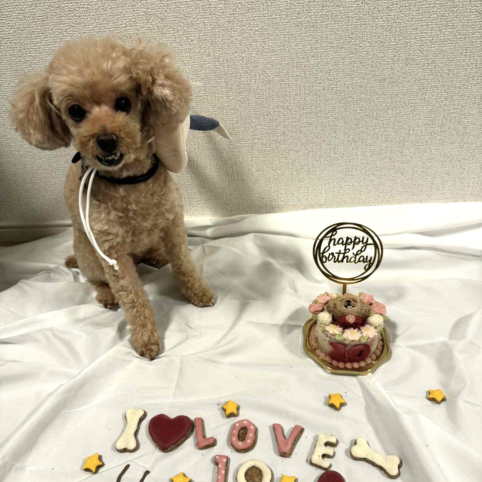 ラブちゃんは10歳のお祝いのオーダーケーキ