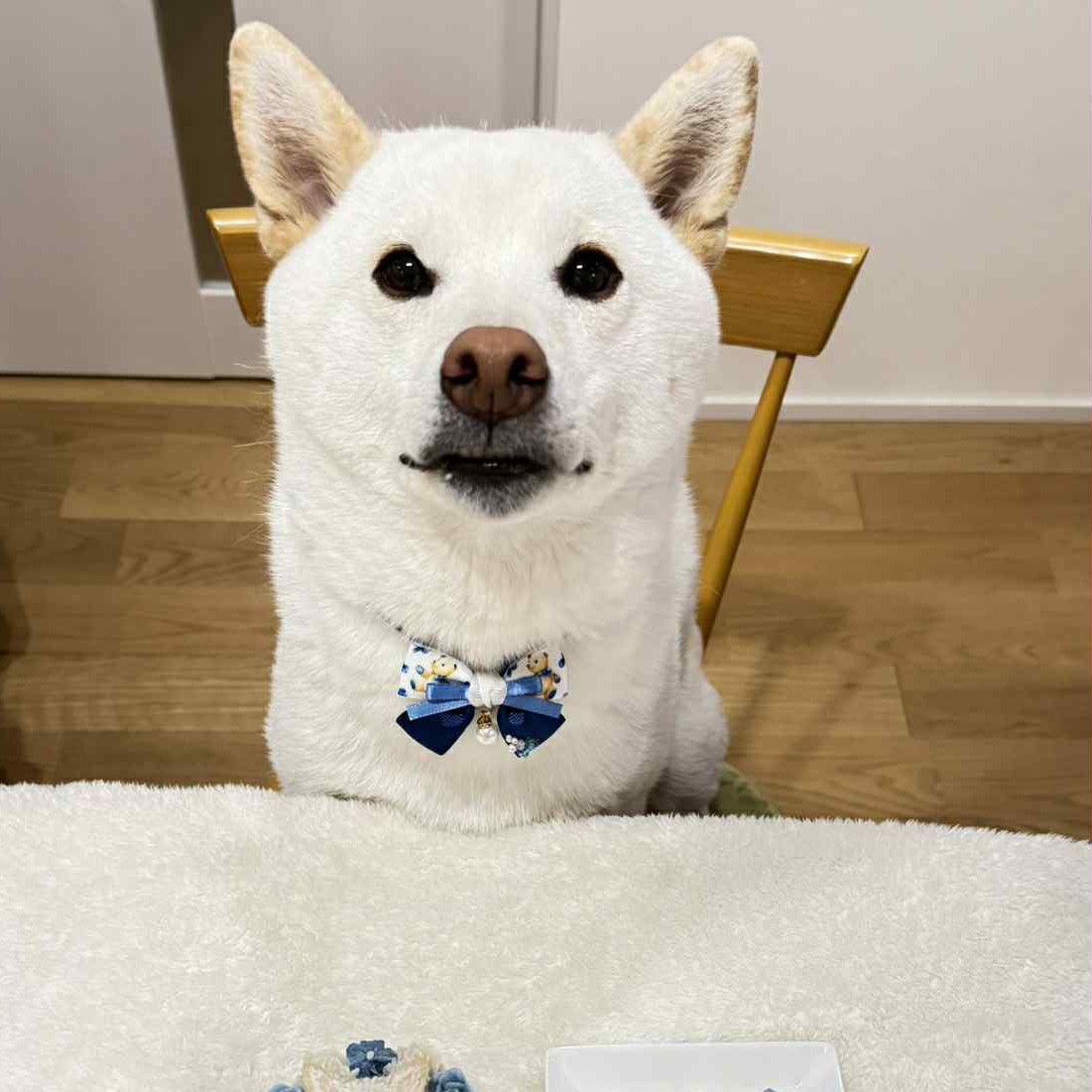 ELFくんは5歳のお誕生日を迎えましたのオーダーケーキ