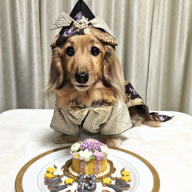 マロンくん、13歳おめでとうございますのオーダーケーキ