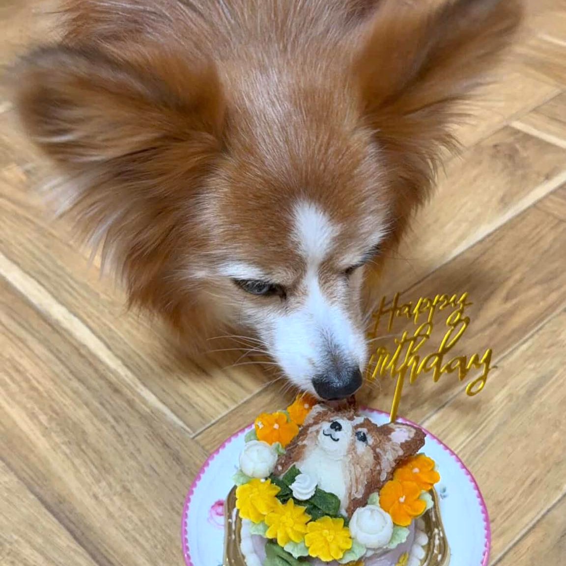 PONOくんは8歳のオーダーケーキ