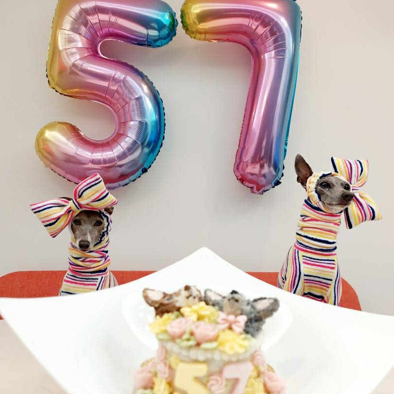 アルティシアちゃん7歳、クーデリアちゃん5歳のオーダーケーキ