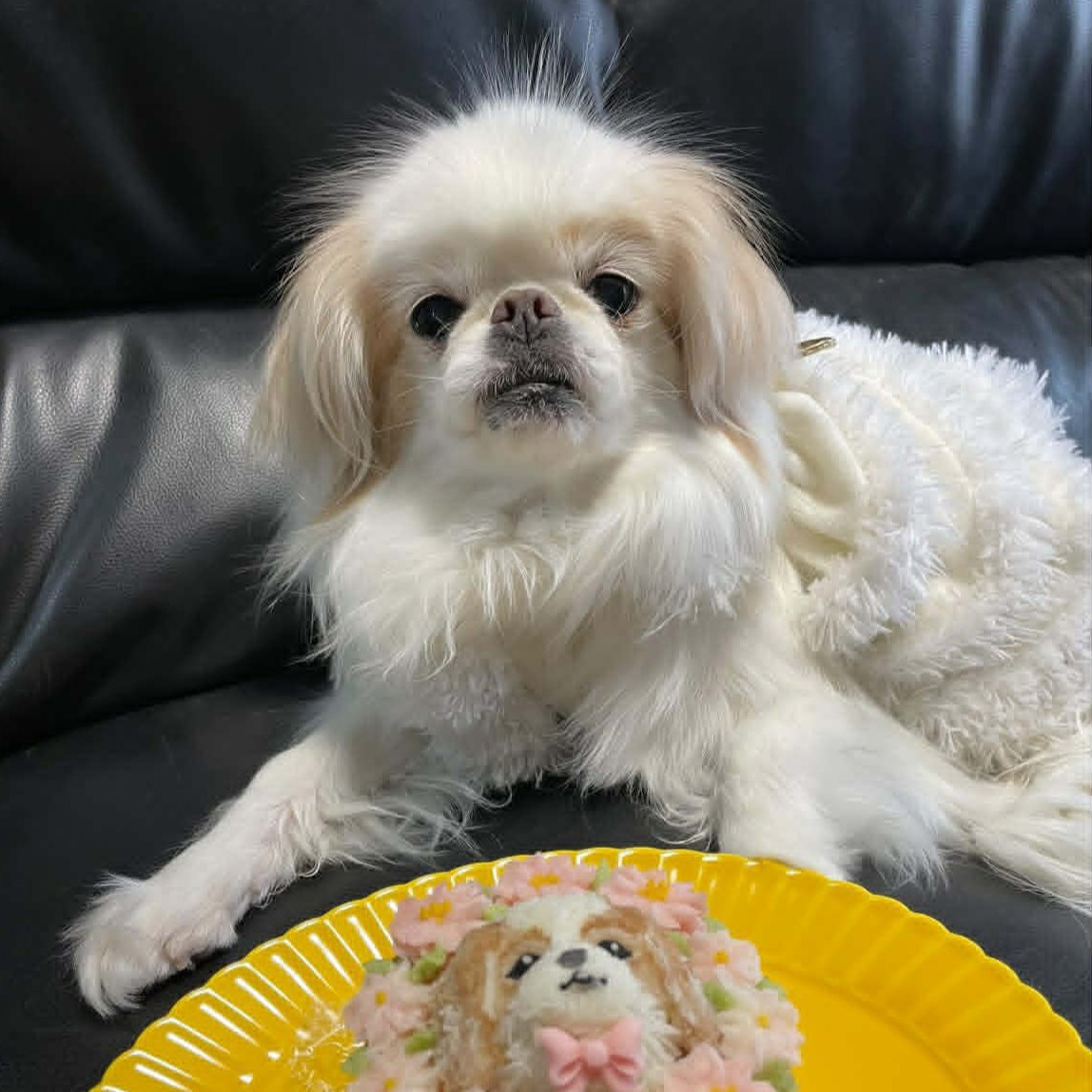 なっちゃん、12歳おめでとう🎂のオーダーケーキ