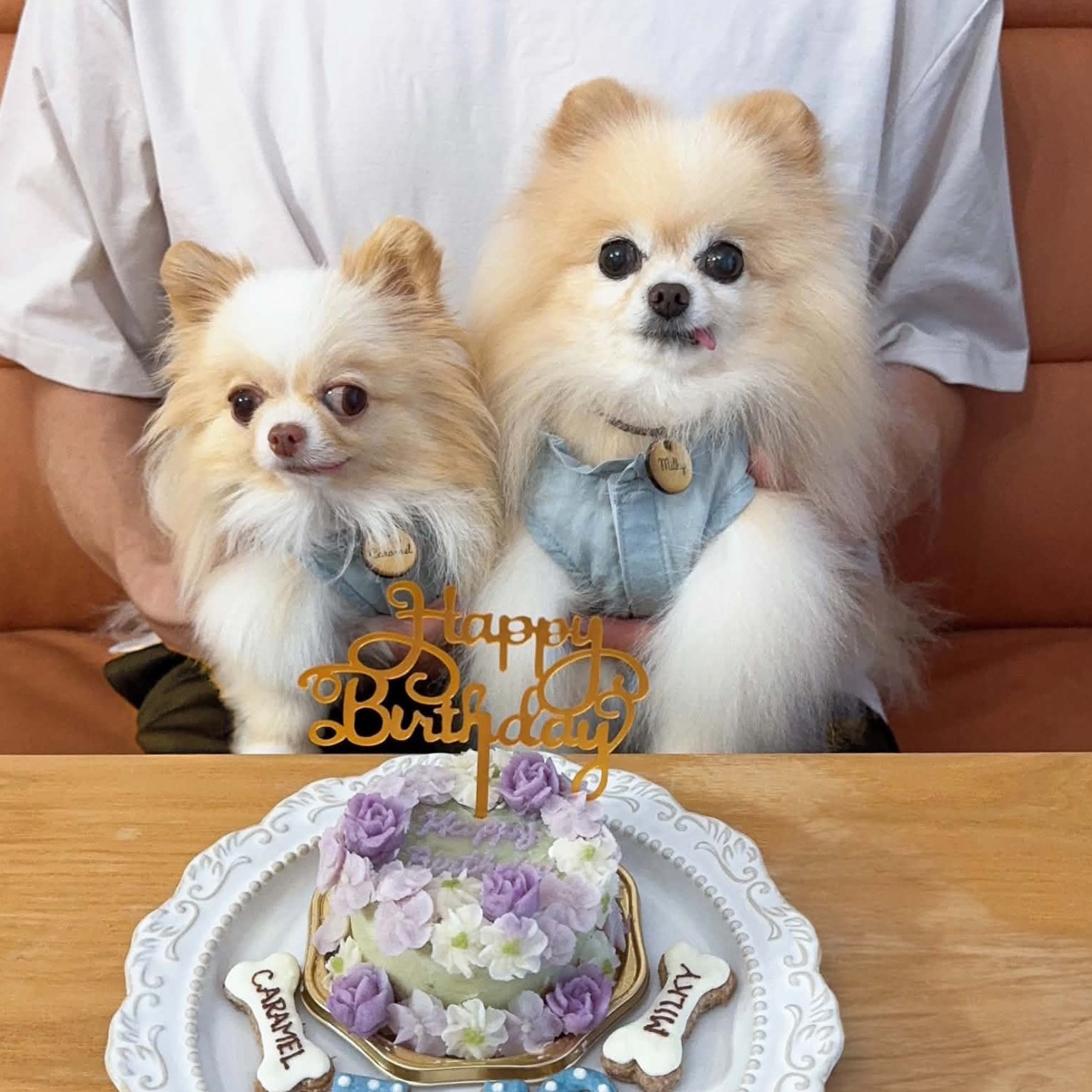 MILKYちゃんは12歳、CARAMELちゃんは7歳。のオーダーケーキ