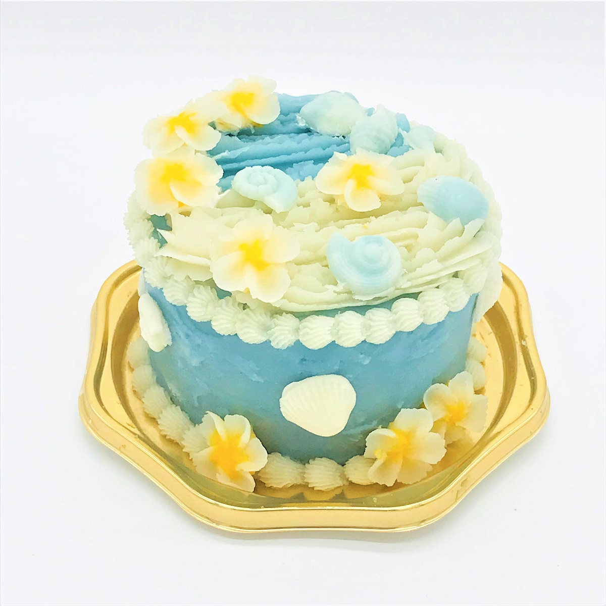 【8月】海のケーキ