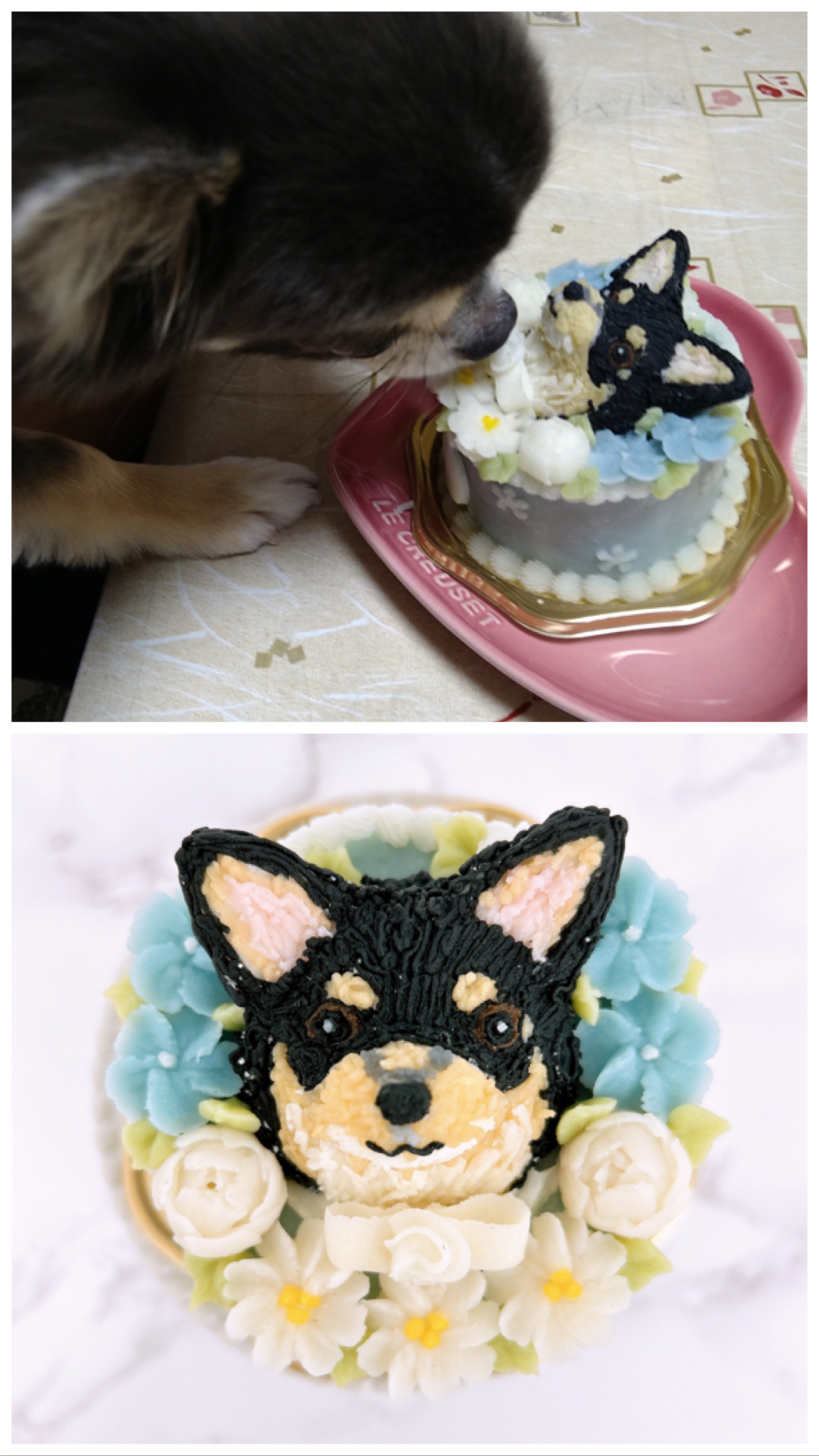 うちの子ケーキ＞