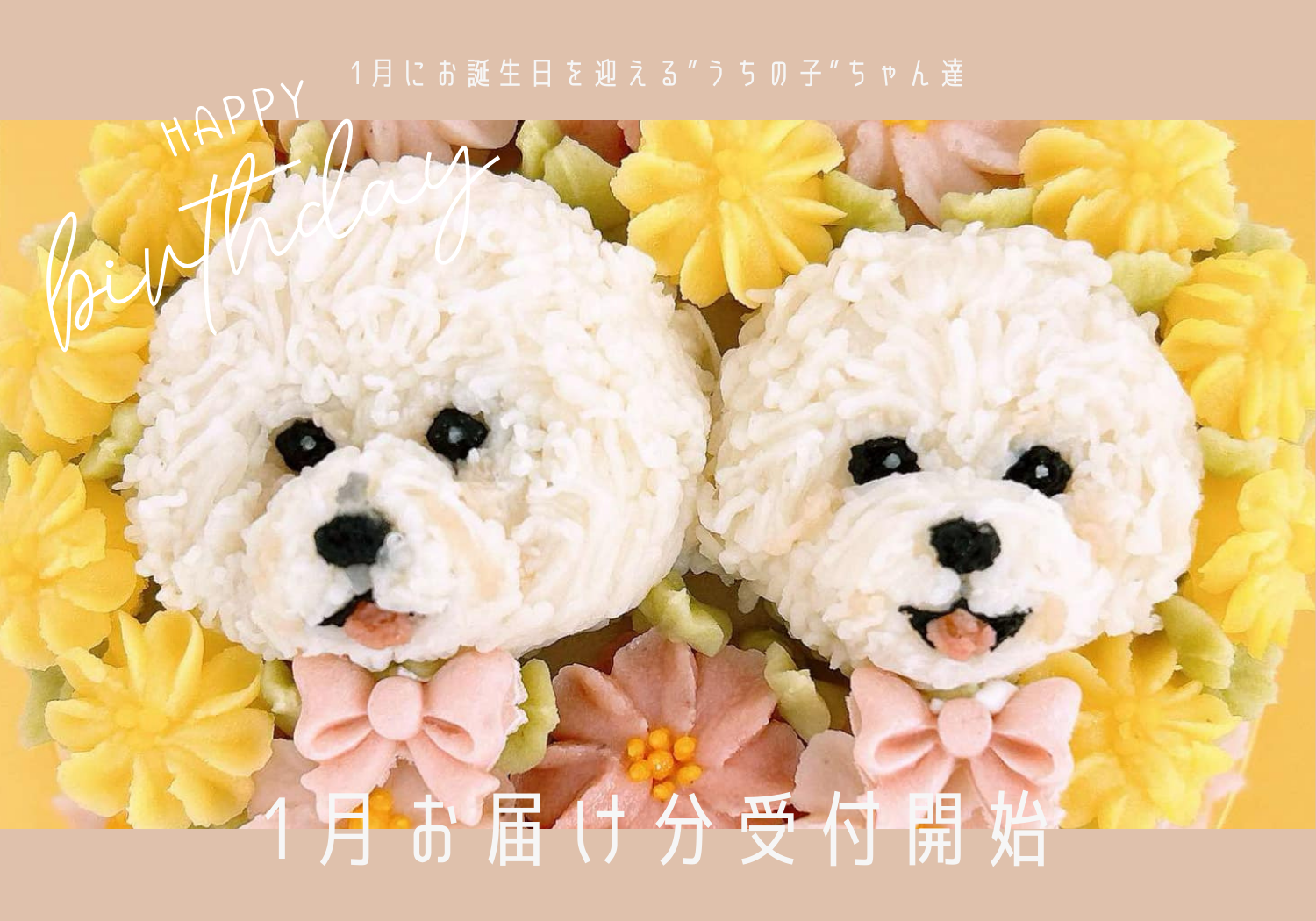1月受付開始バナー
