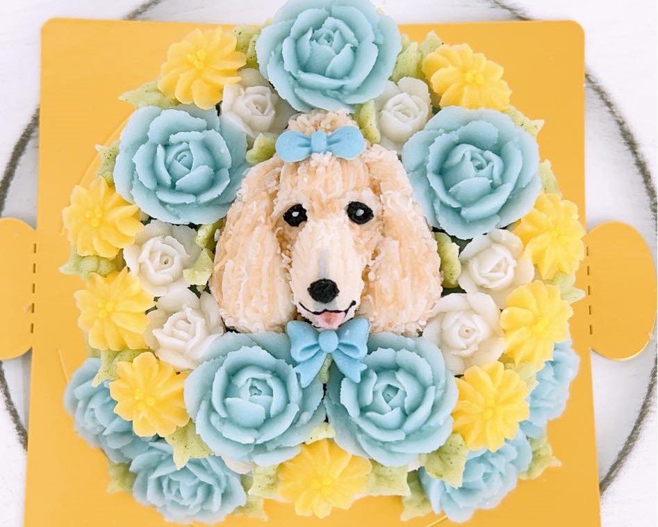 ６月のサンプルケーキ＞