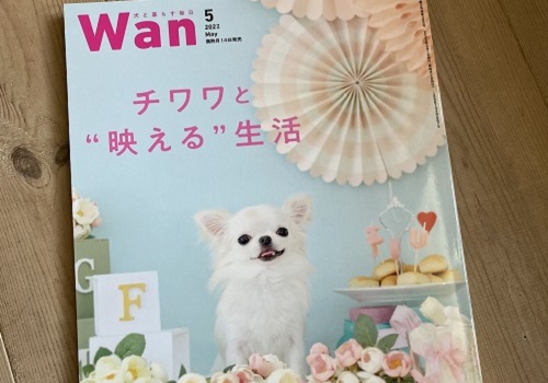 Wan5月号に掲載されました