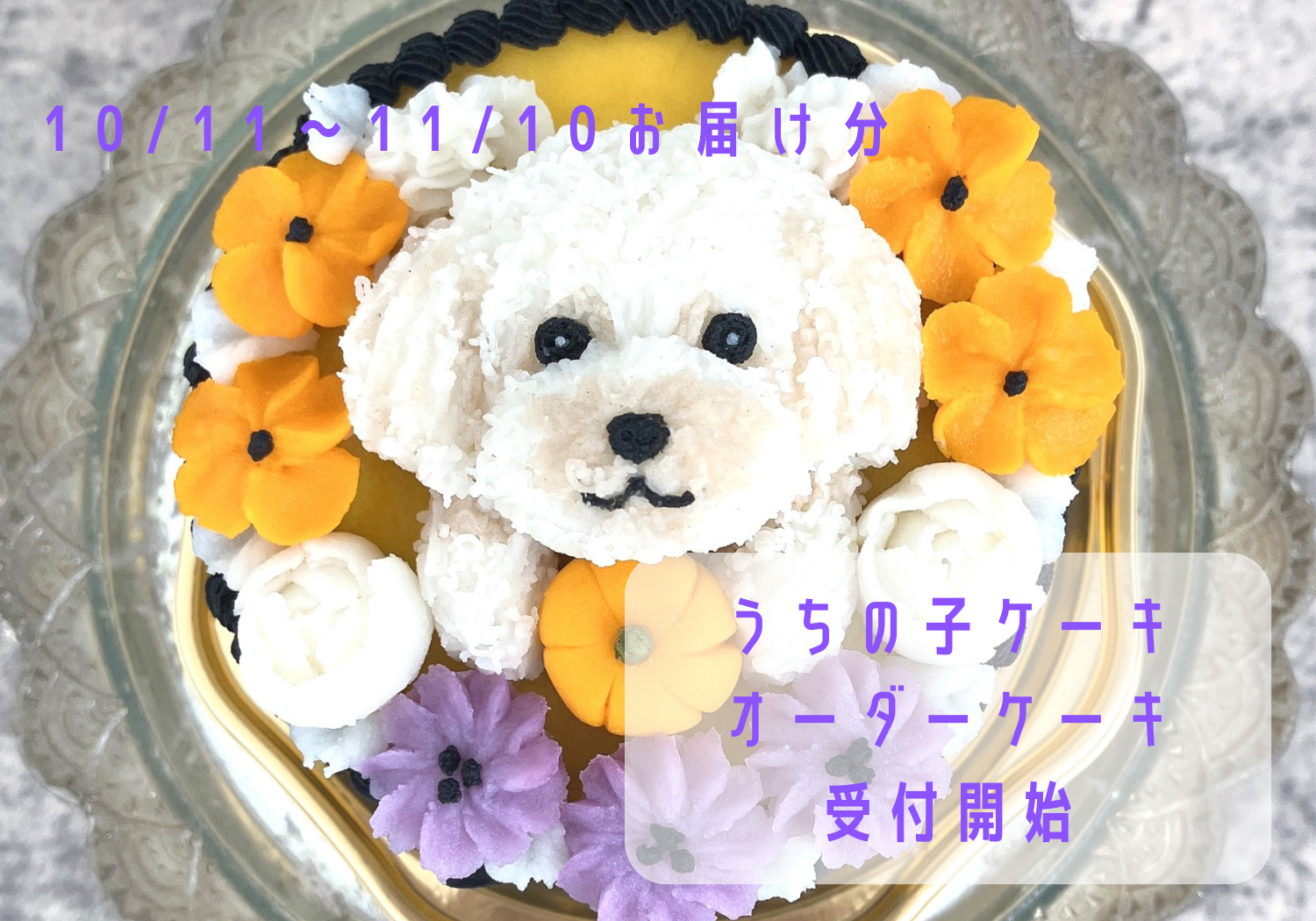 9月20日発売開始