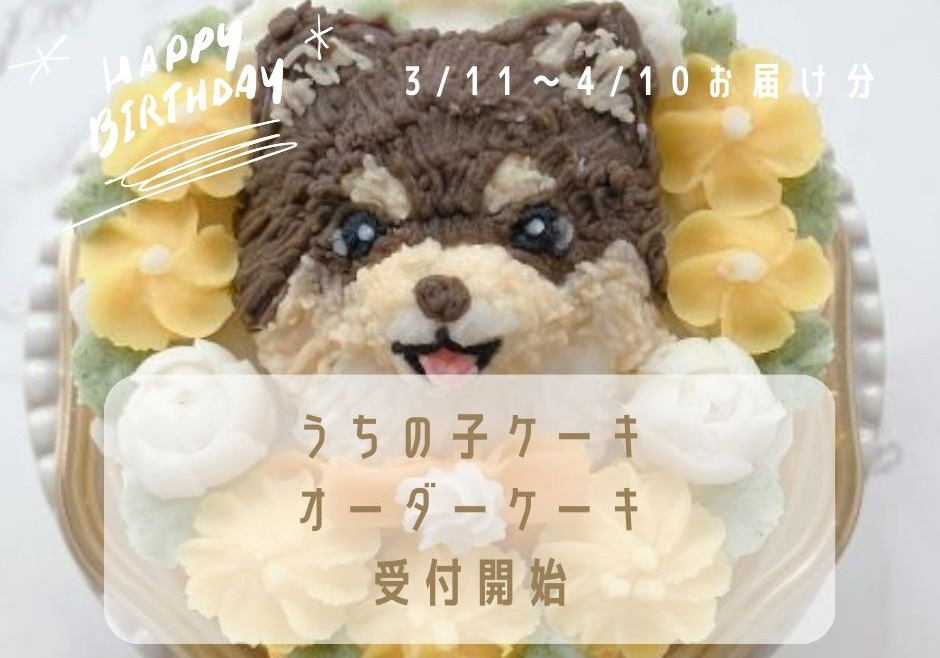1/25受付開始