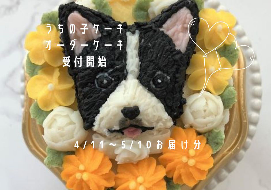 3.20受付開始