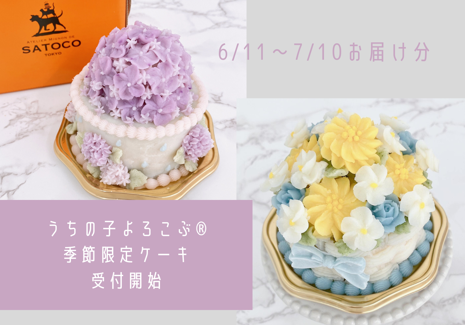 5/25受付開始