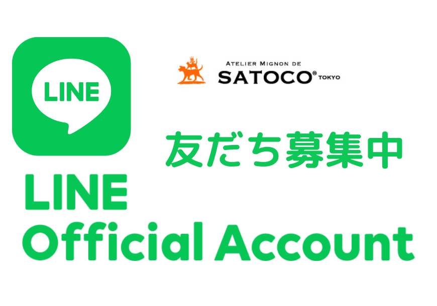 公式LINE友だち募集