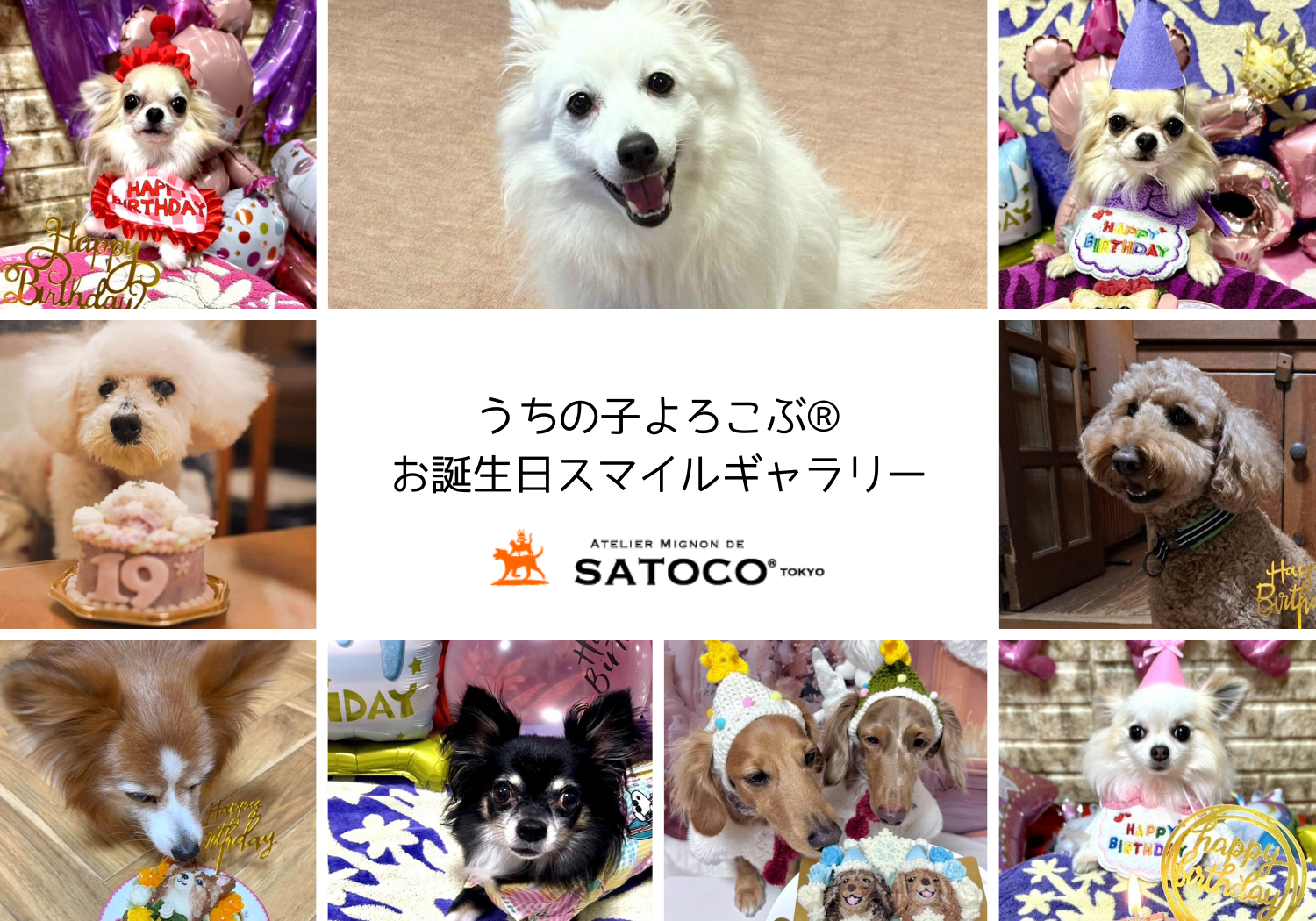 スマイルギャラリギャラリー