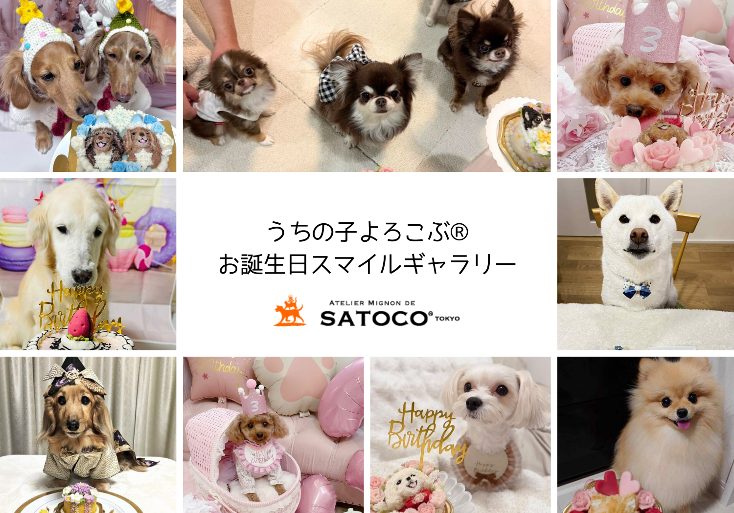 スマイルギャラリギャラリー